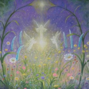 Meet your Posher, Rainah